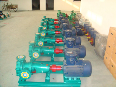 �͸��g��XWHB��