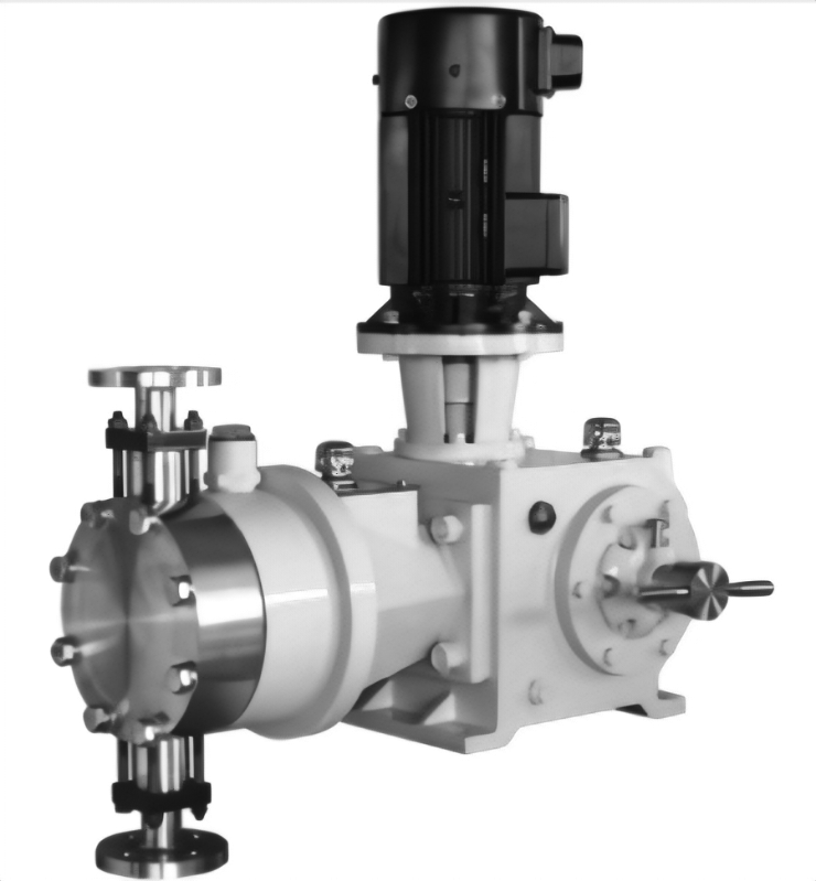 �����ˎ��